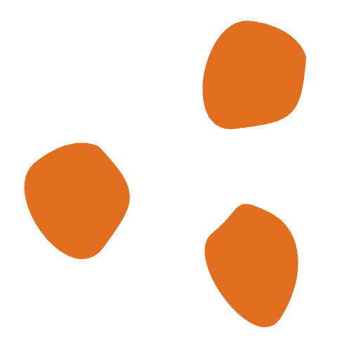 Forme 6 orange